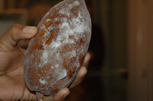 Look At the Size of This Cocoa Bean!