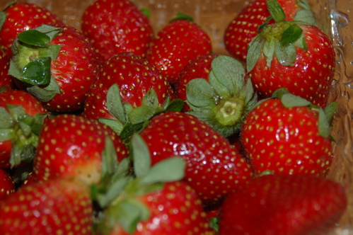 Strawberries Waiting to be Cut