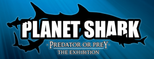 Planet Shark, Now At The GA Aquarium