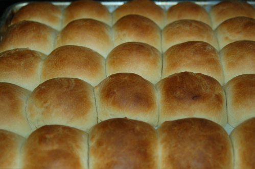 Rolls Fresh From The Oven. Should've Waited to Bake These...